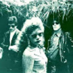 Meet your Posher, Celeste